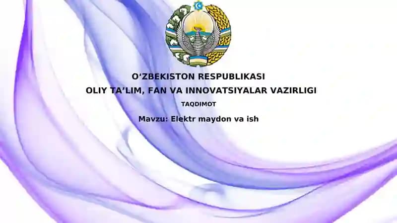 Elektr maydonvaish