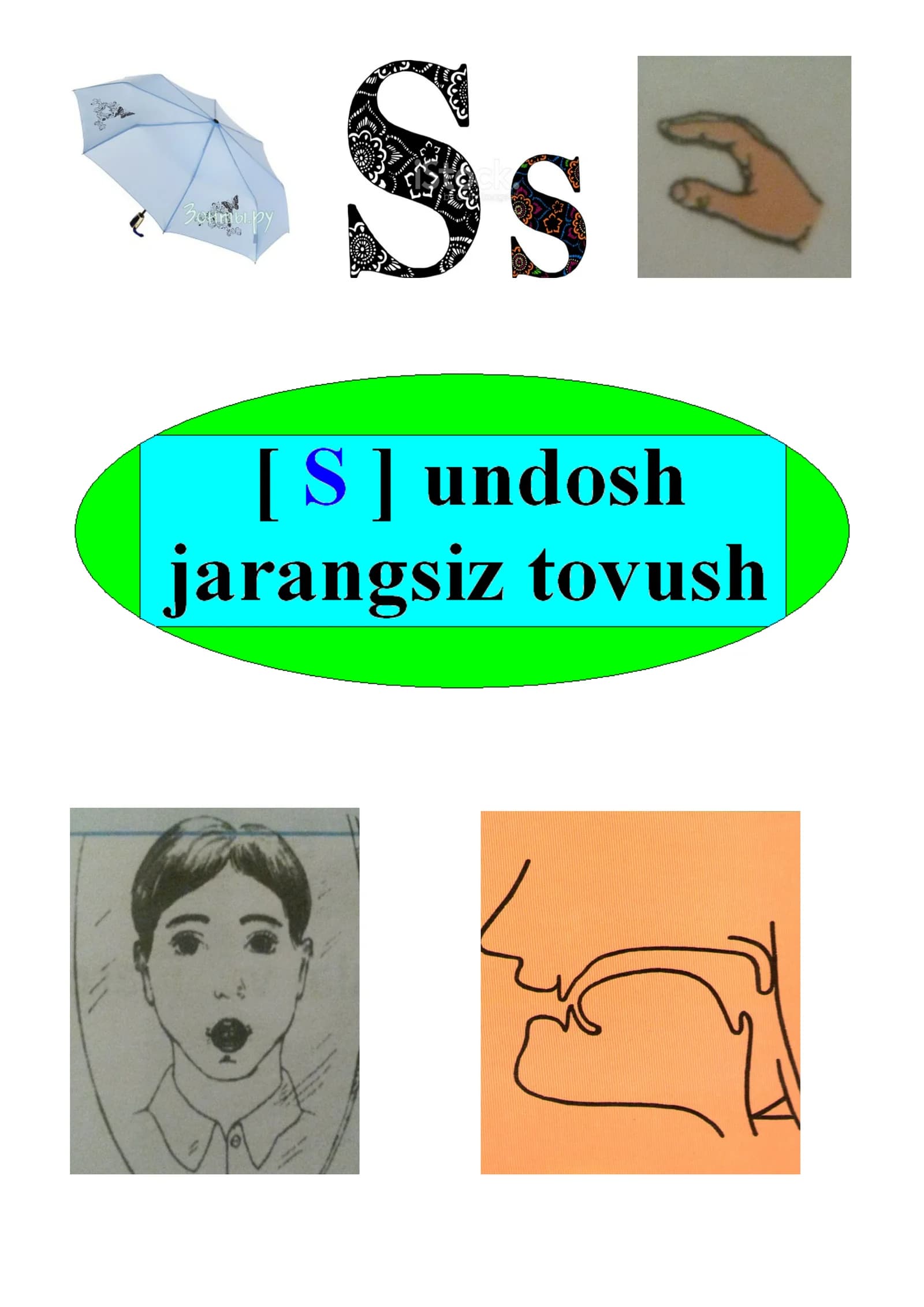 «S» harfiga o’xshash rasmlarni ko’rsating!