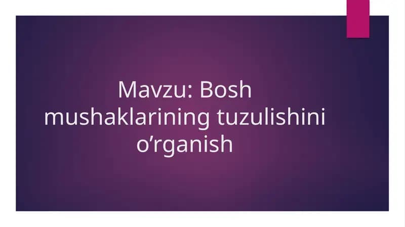Bosh mushaklarining tuzulishini o’rganish