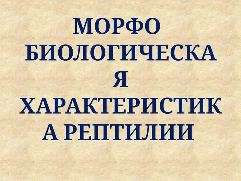 МОРФО БИОЛОГИЧЕСКАЯ ХАРАКТЕРИСТИКА РЕПТИЛИИ