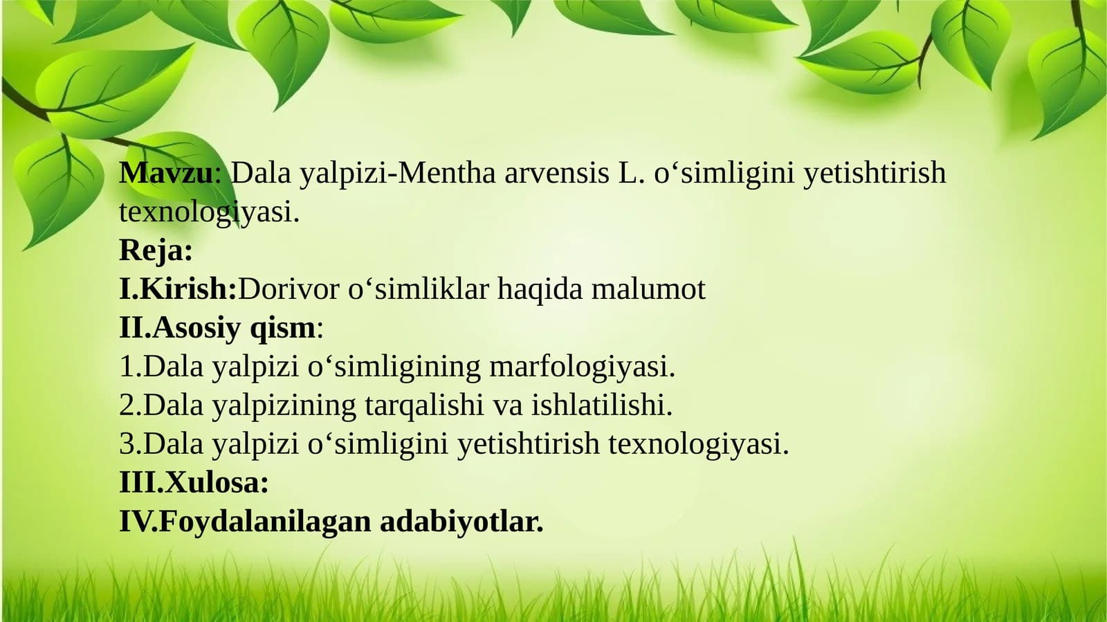 Dala yalpizi-Mentha arvensis L. oʻsimligini yetishtirish texnologiyasi