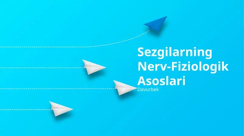 Sezgilarning Nerv-Fiziologik Asoslari