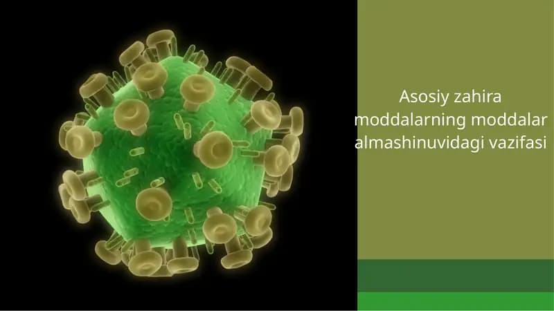 Asosiy zahiramoddalarning moddalar almashinuvi