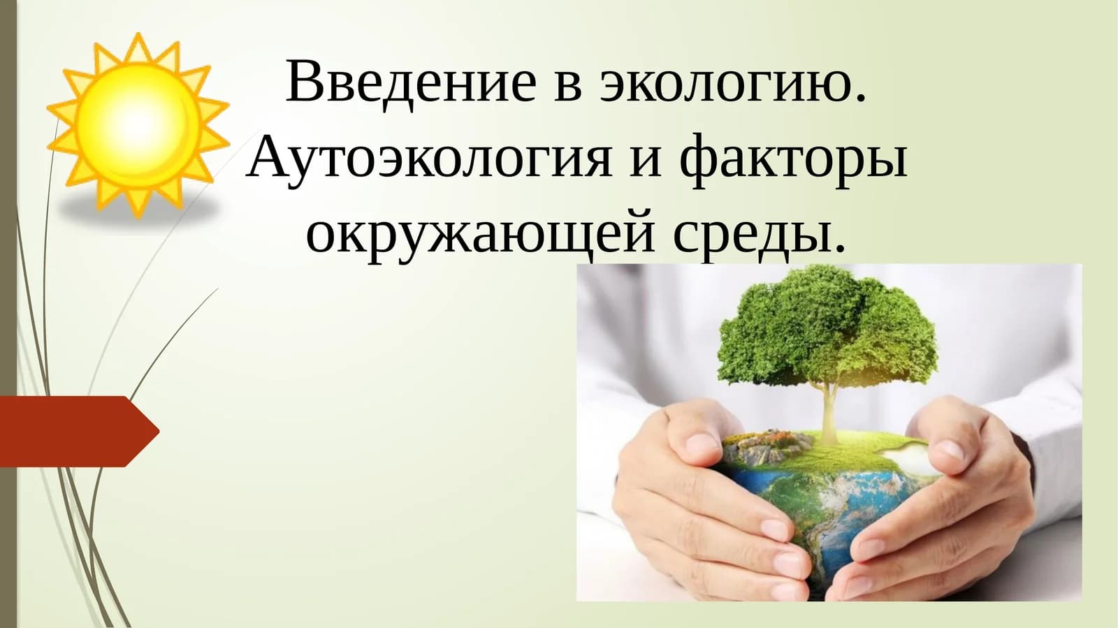 Введение в экологию. Аутоэкология и факторы окружающей среды