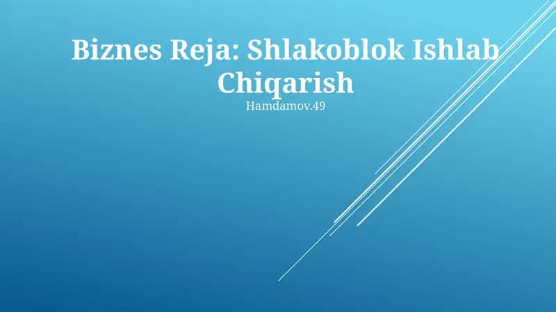 Biznes Reja: Shlakoblok Ishlab Chiqarish