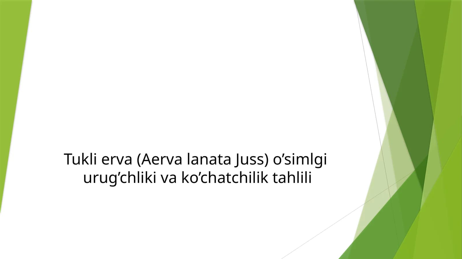 Tukli erva (Aervalanata Juss) o’simlgi urug’chligi va ko’chatchilik tahlili