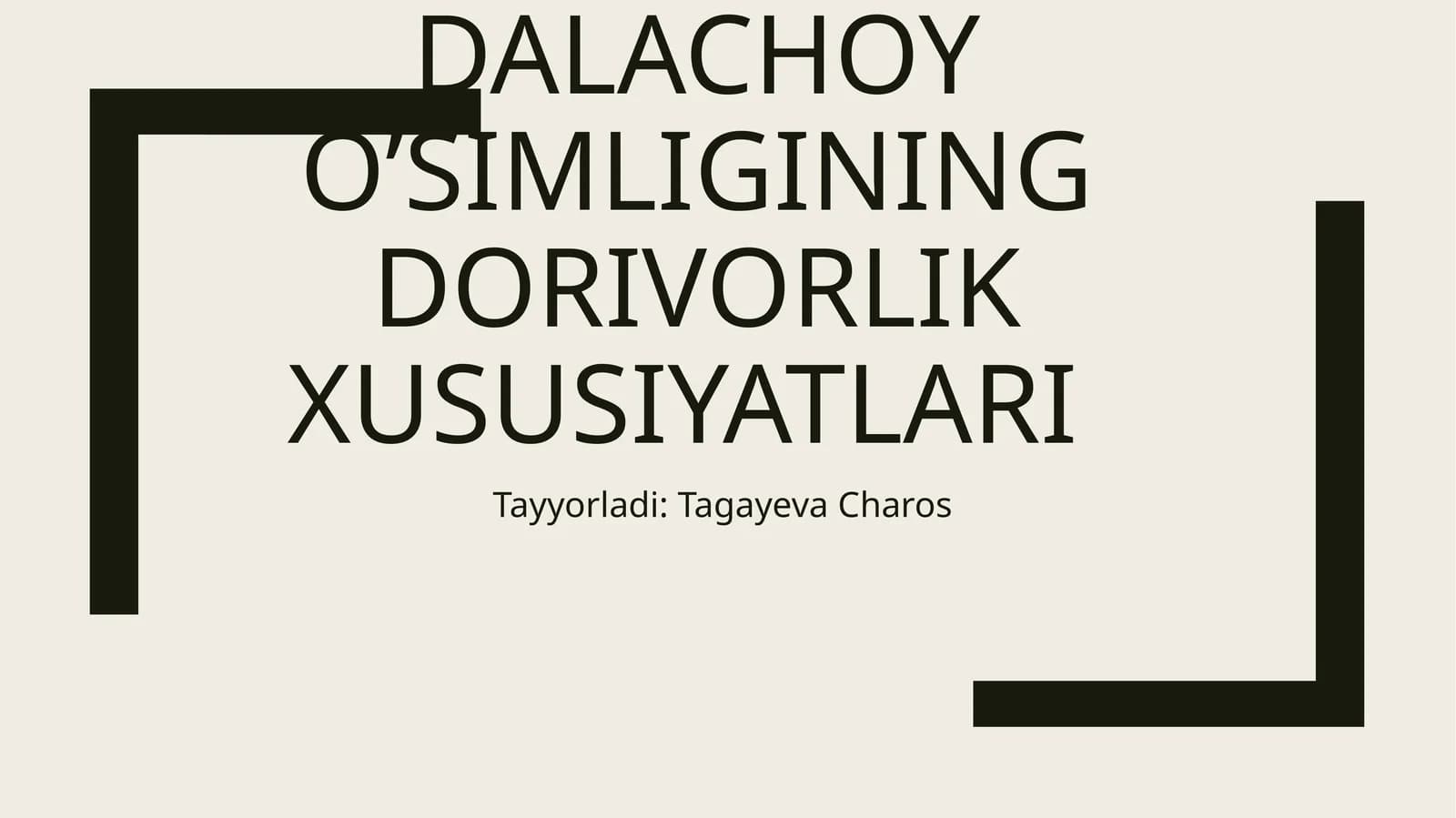 Dalachoyning o’simligining dorivorlik xususiyatlari