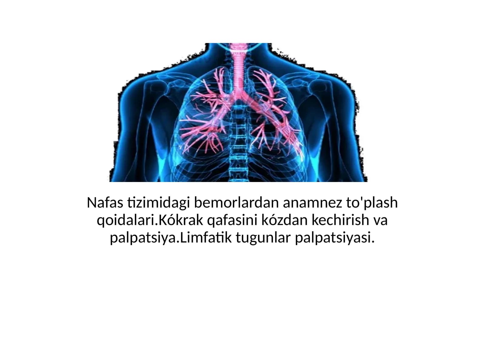 Anamnesis