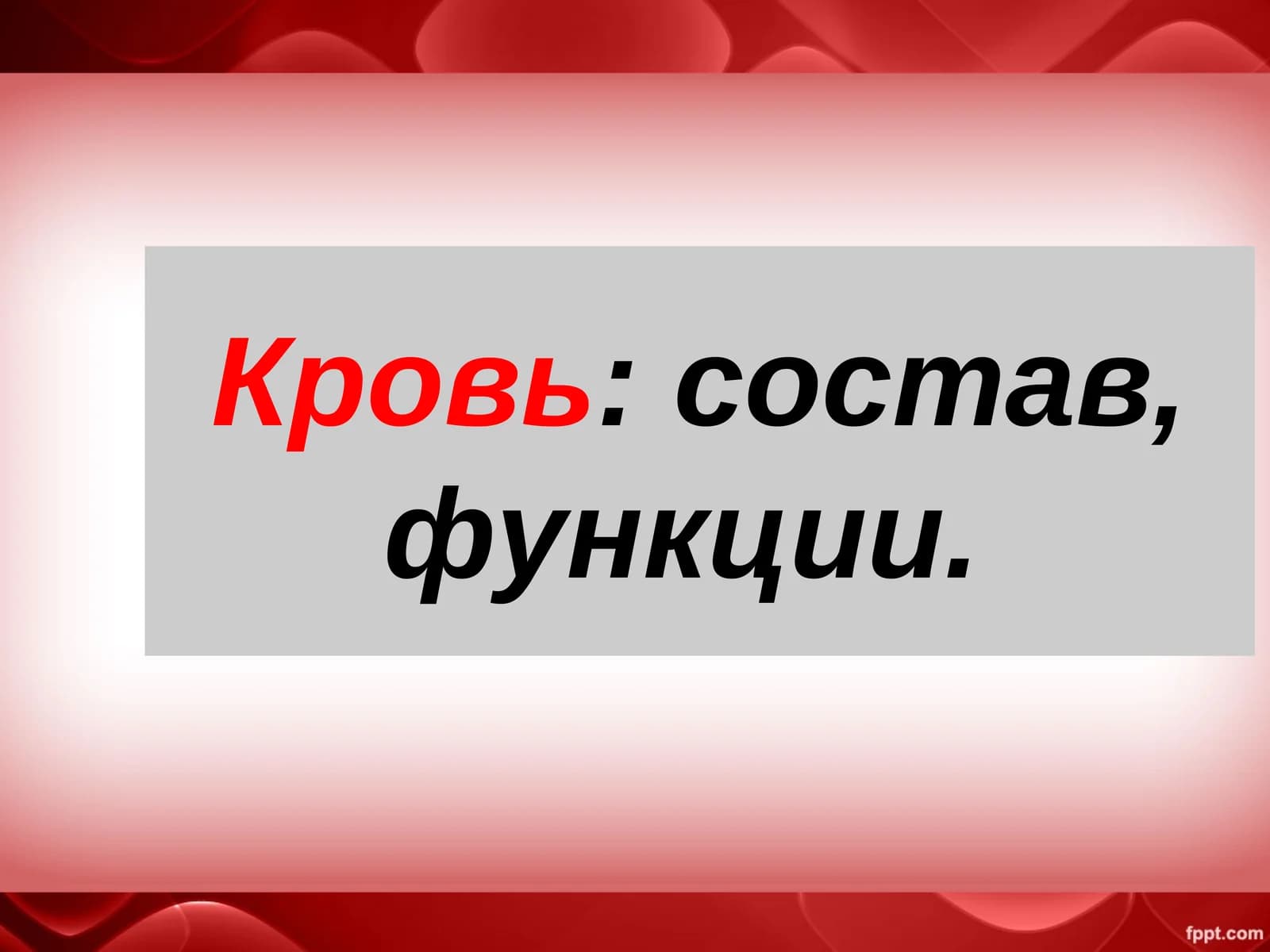 Кровь: состав, функции