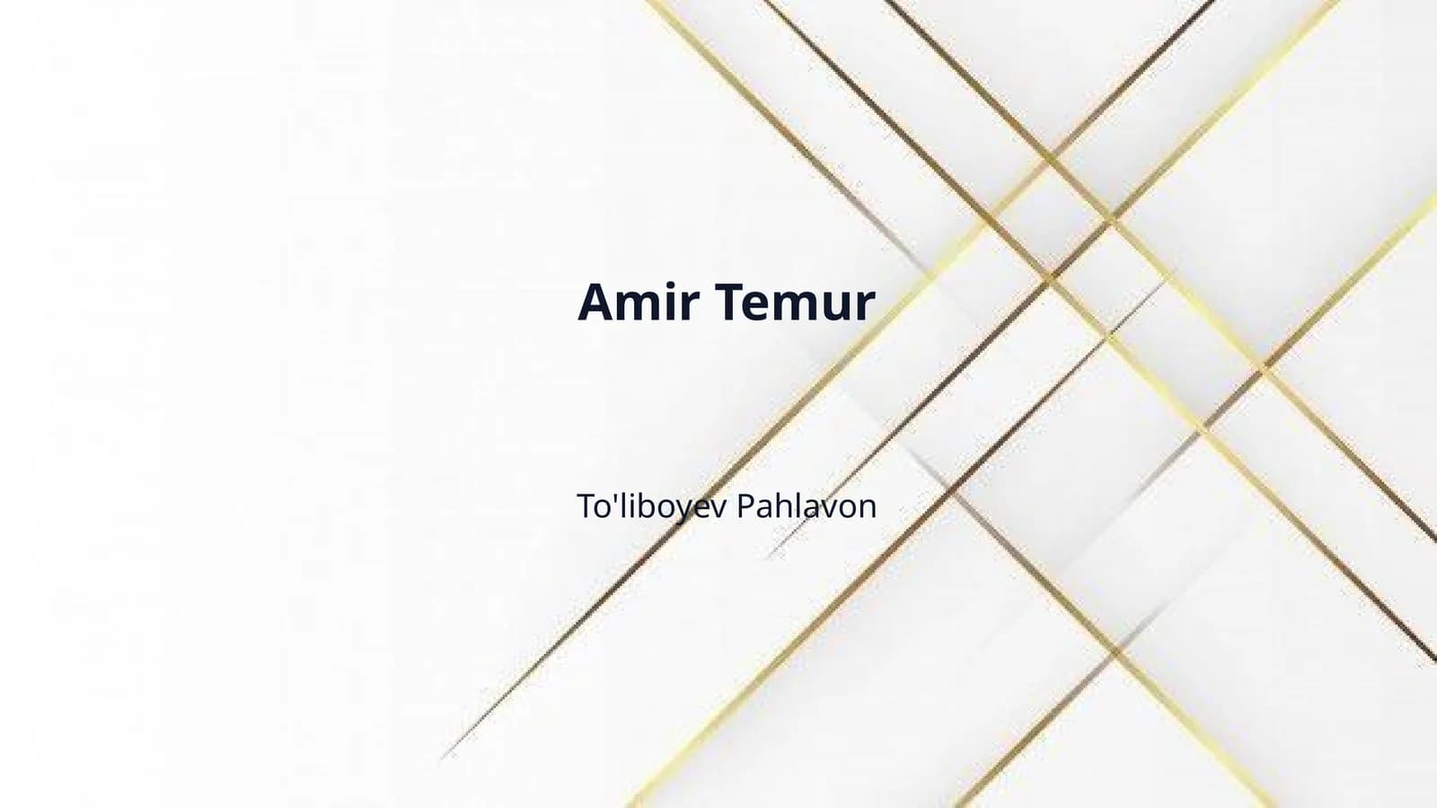 Amir Temur