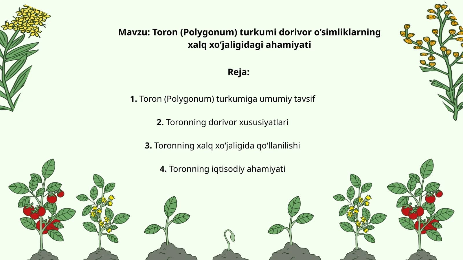 Toron (Polygonum) turkumi dorivor o‘simliklarning xalq xo‘jaligidagi ahamiyati