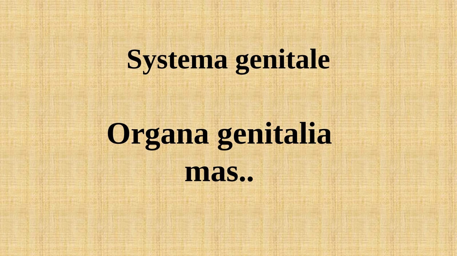 Systemagenitale
