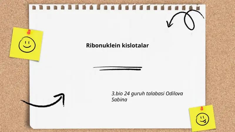 Ribonuklein kislotalar