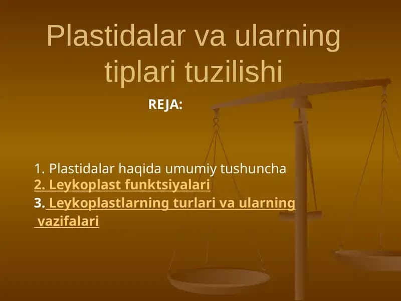Plastidalar va ularning tiplari tuzilishi