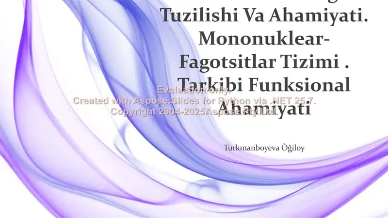 Mezenximaning Tuzilishi Va Ahamiyati. Mononuklear-Fagotsitlar Tizimi. Tarkibi Funksional Ahamiyati