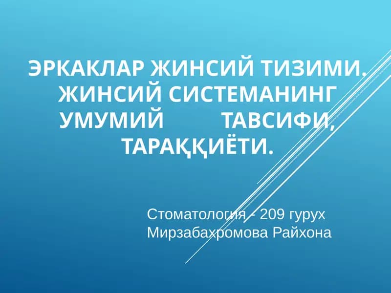 Жинсий тизим ва жинсий система