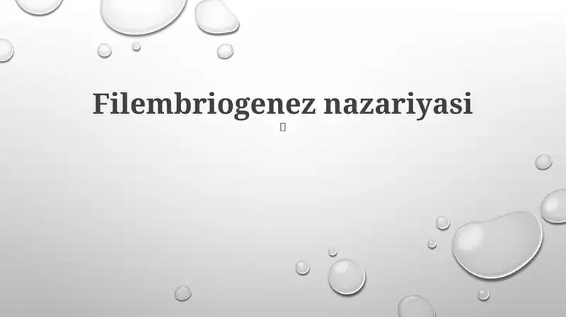 Filembriogenez nazariyasi