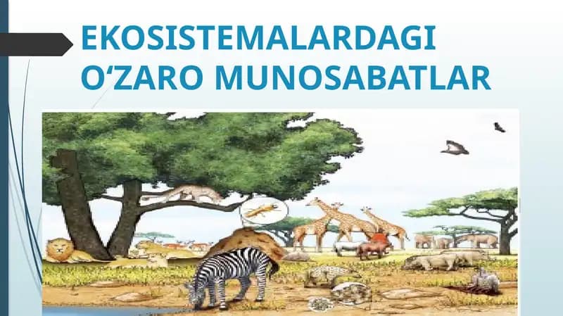EKOSISTEMALARDAGIO‘ZARO MUNOSABATLAR