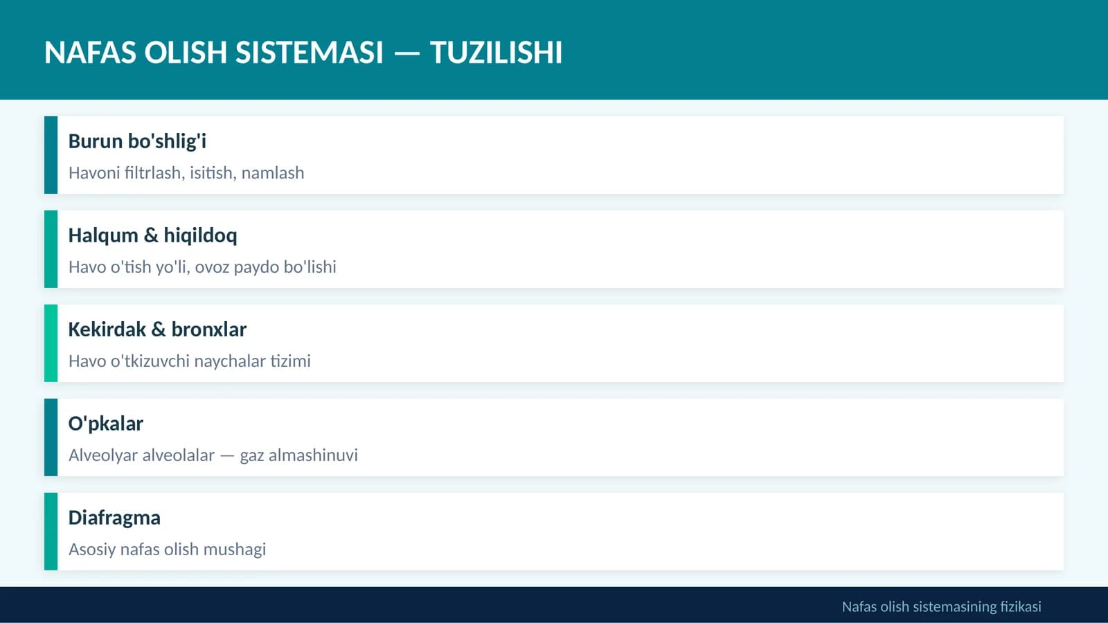 NAFAS OLISH SISTEMASI — TUZILISHI