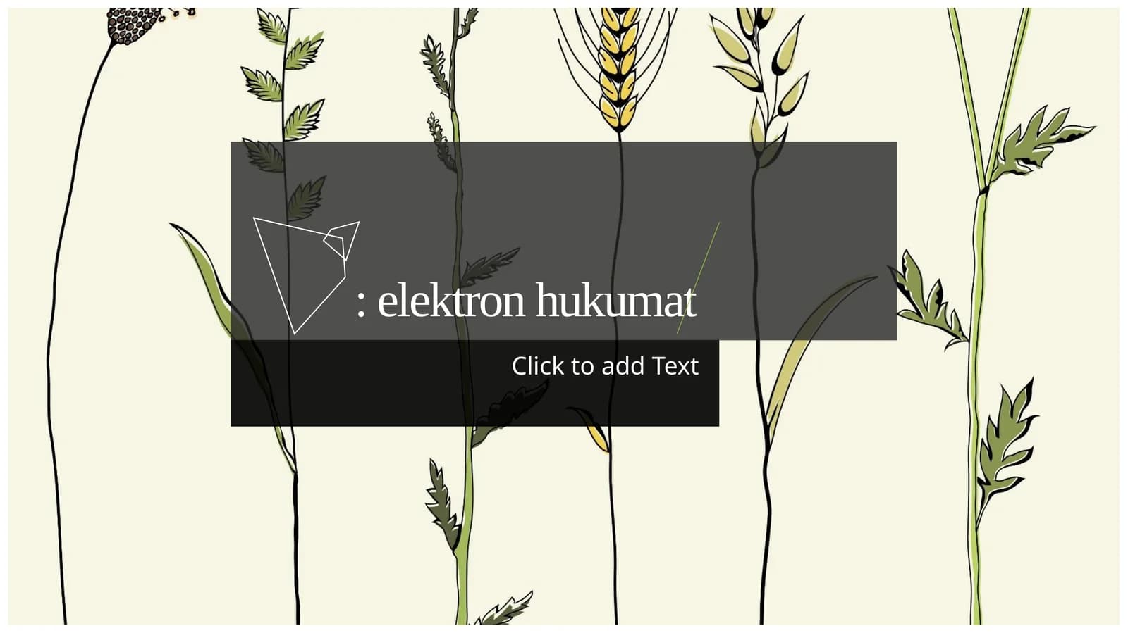 Elektron hukumat