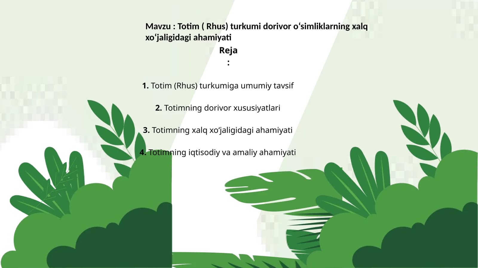 Totim ( Rhus) turkumi dorivor o‘simliklarning xalq xo‘jaligidagi ahamiyati