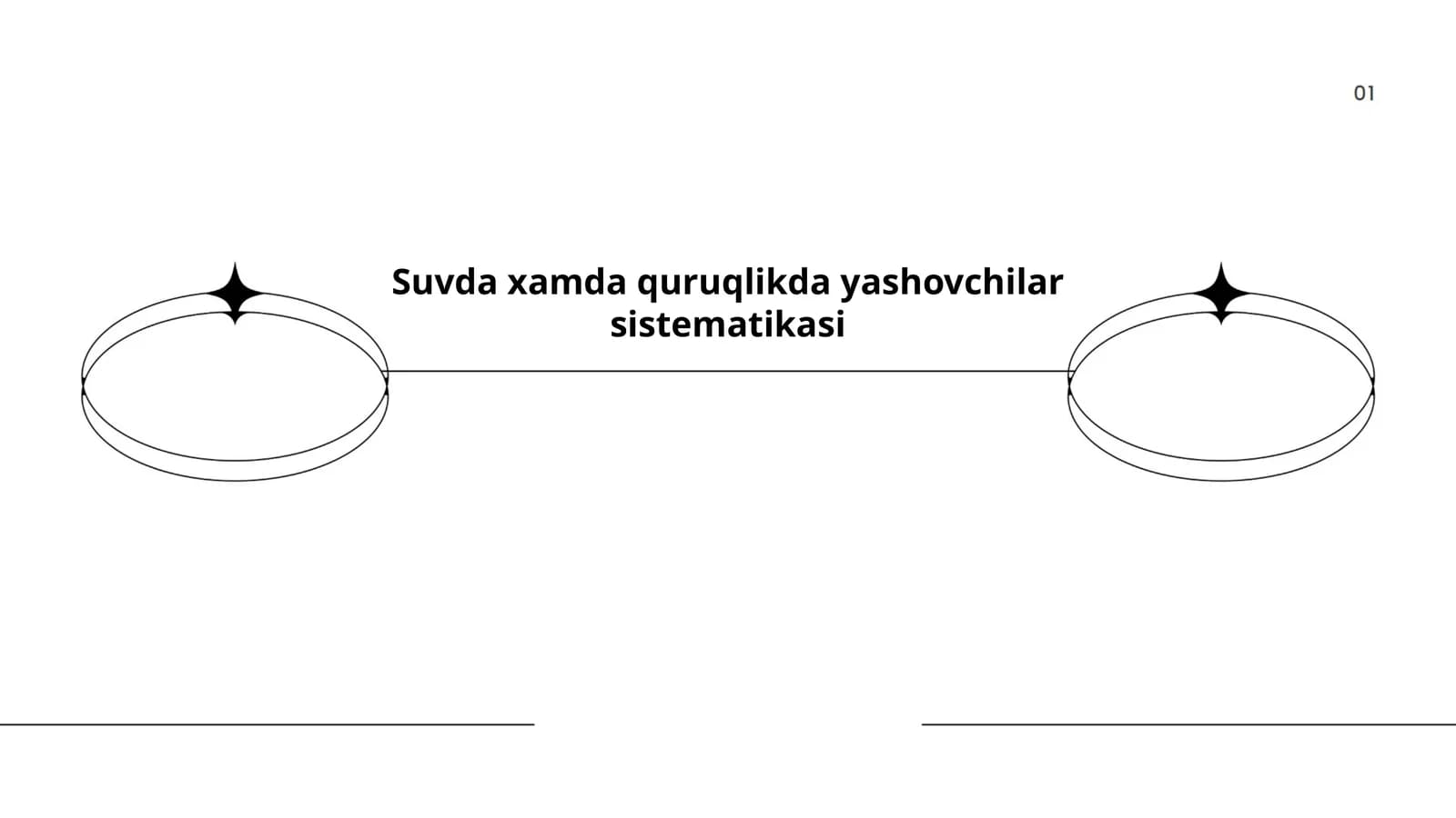 Suvda xamda quruqlikda yashovchilar sistematikasi