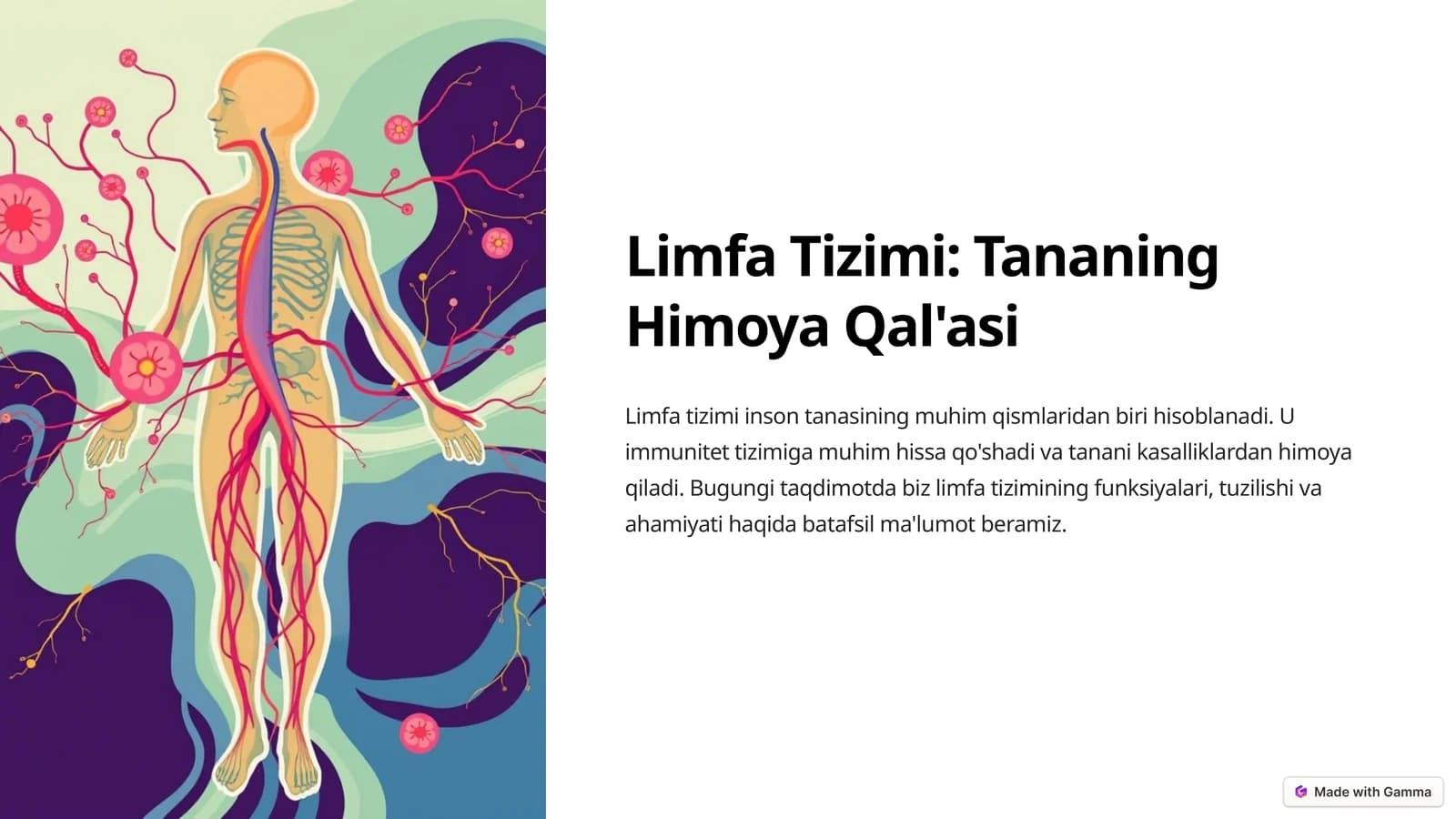 Limfa Tizimi Tananing Himoya Qal'asi