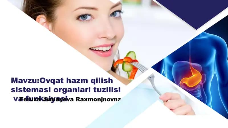 Ovqat hazm qilish sistemasi organlari tuzilisi va funksiyasi