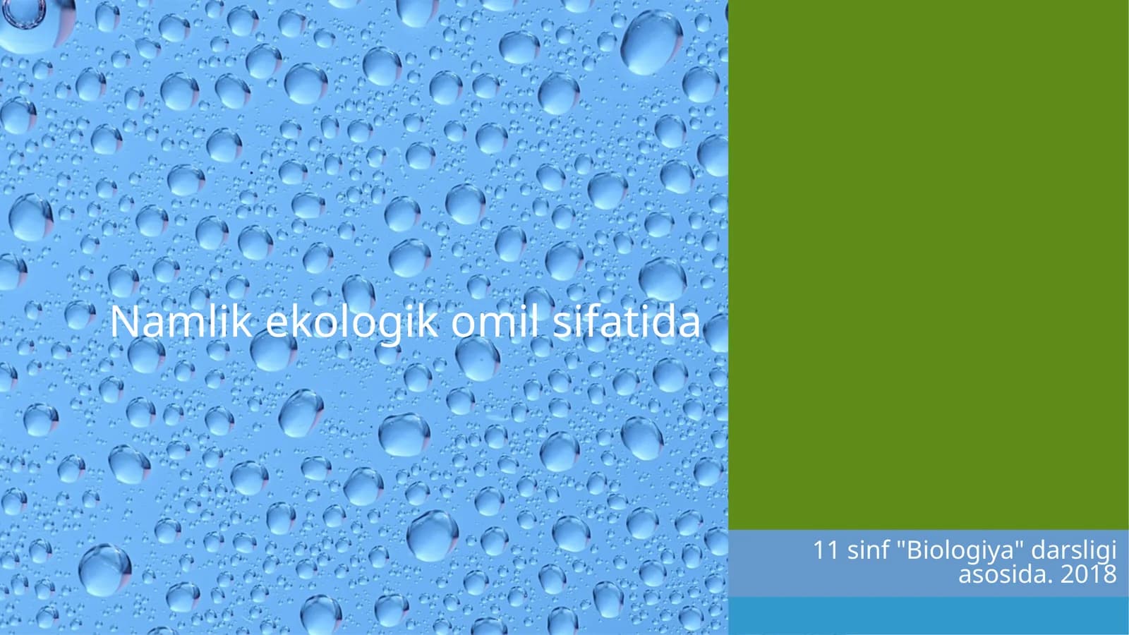 Namlik ekologik omil sifatida