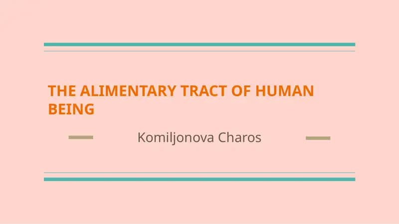 THE ALIMENTARY TRACT OF HUMAN BEING