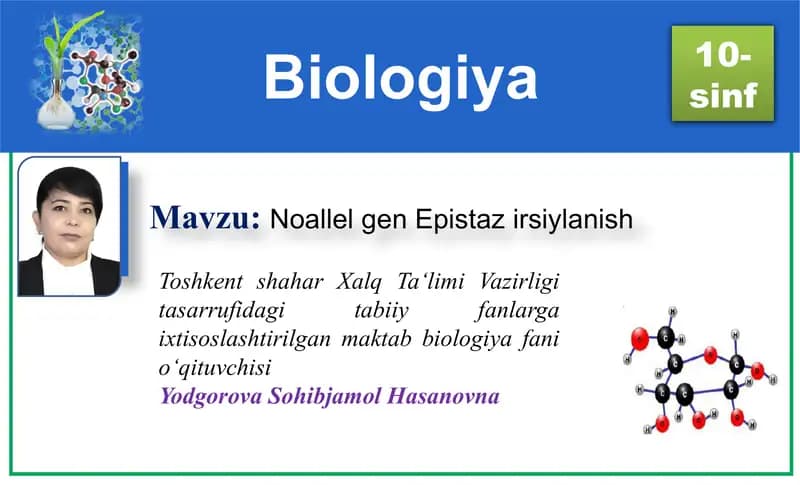 Noallel gen Epistaz irsiylanish