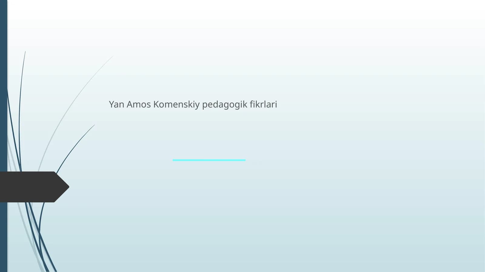 Yan Amos Komenskiy pedagogik fikrlari