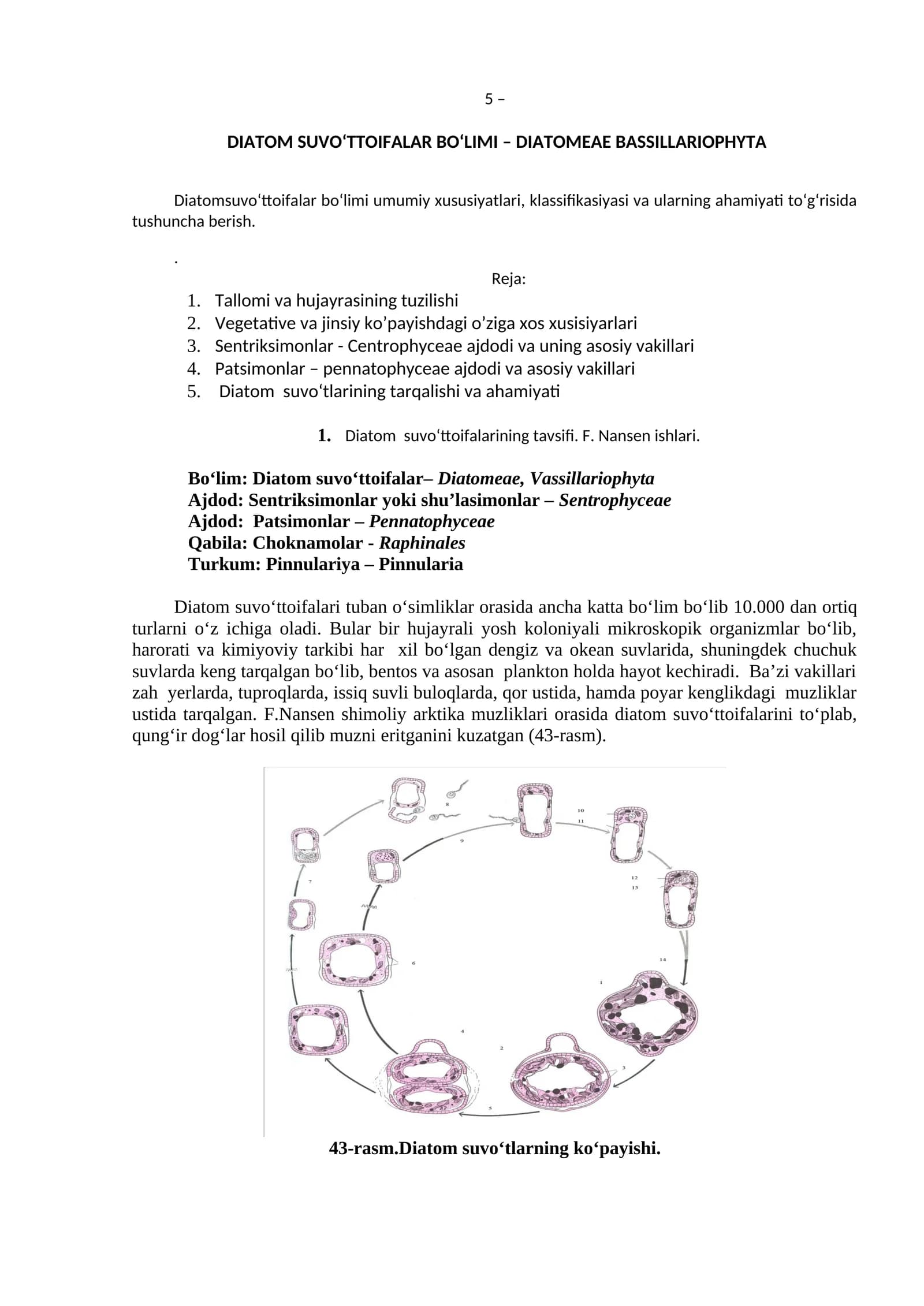 Diatom Suvo‘ttoifalar Bo‘limi – Diatomeae Bassillariophyta