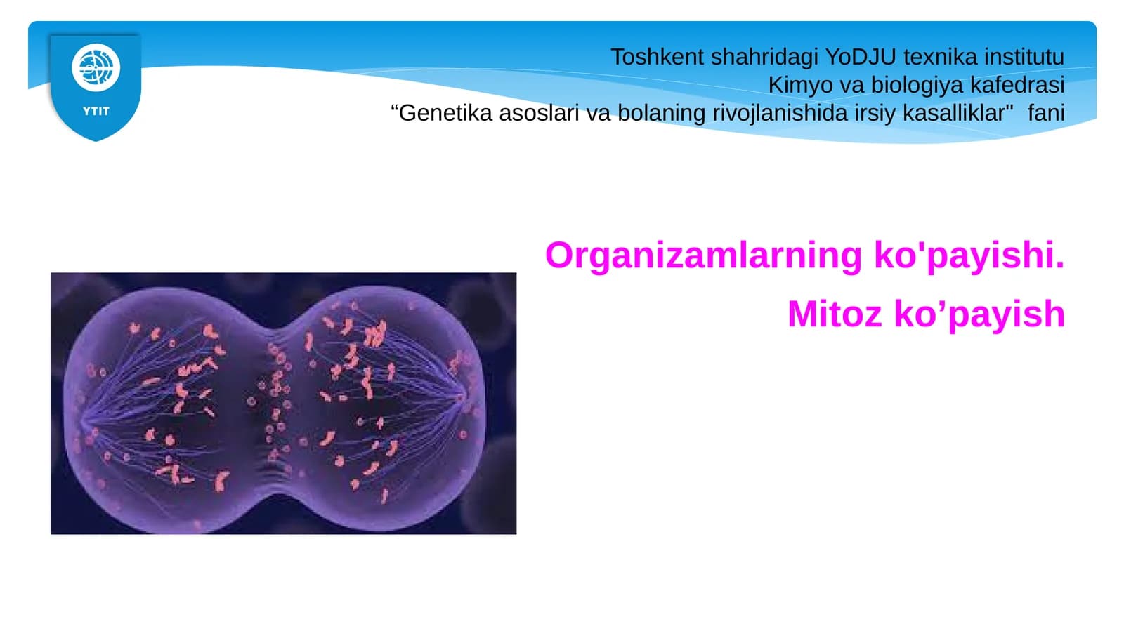 Organizamlarning ko'payishi