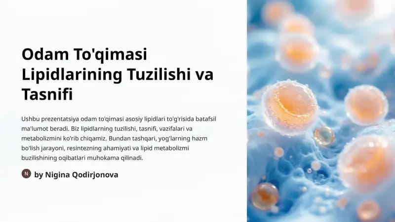 Odam To'qimasi Lipidlarining Tuzilishi va Tasnifi