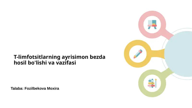 T-limfotsitlarning ayrisimon bezda hosil bo'lishi va vazifasi