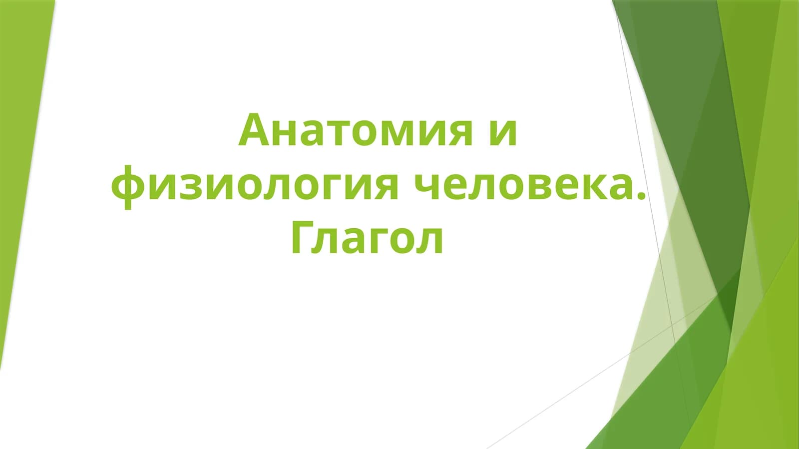 Анатомия и физиология человека. Глагол