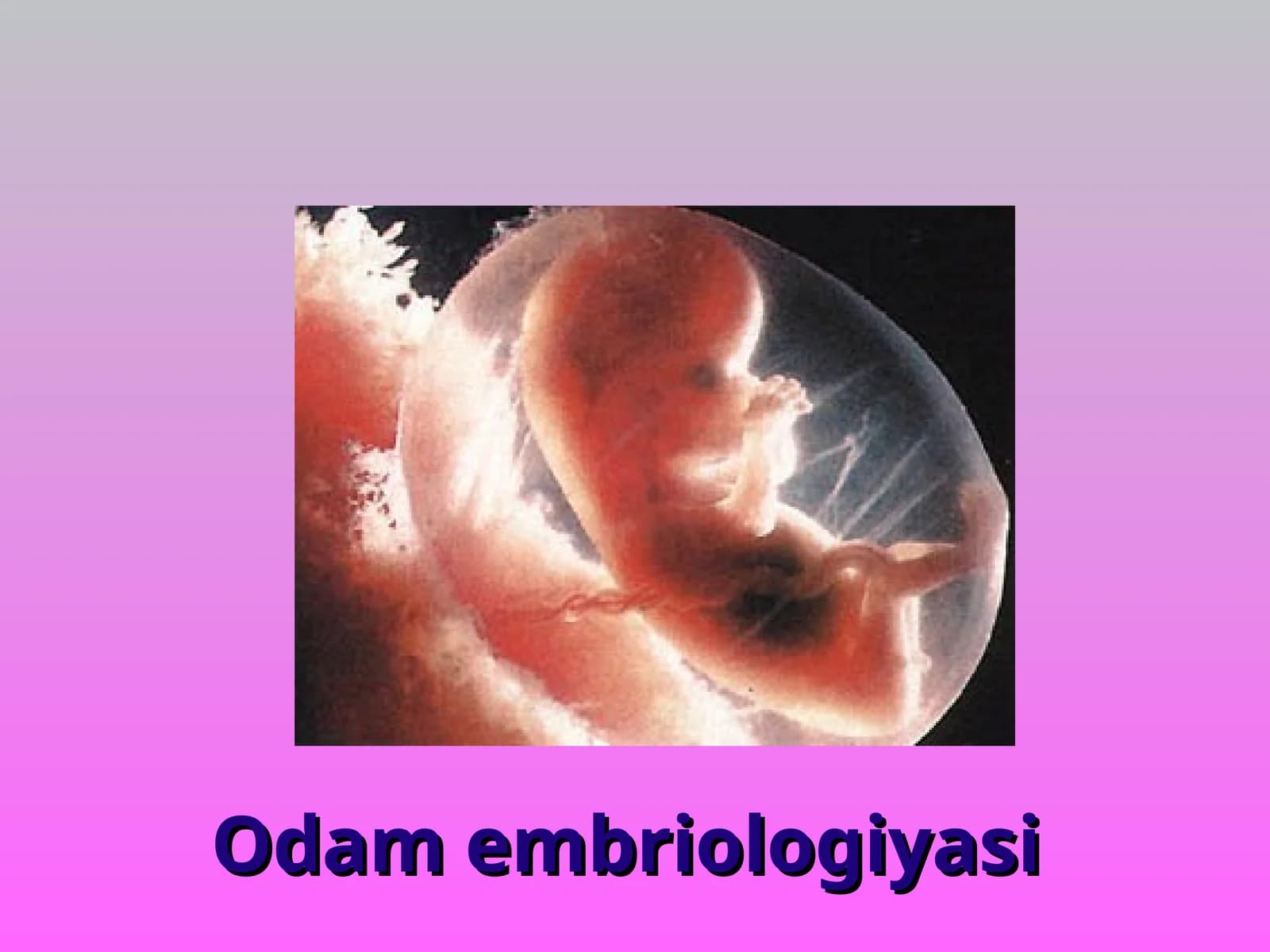 Odam embriologiyasi