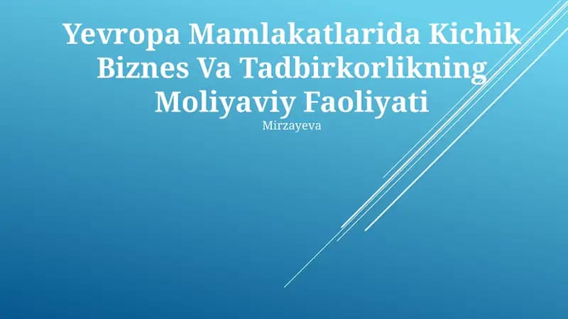 Yevropa Mamlakatlarida Kichik Biznes Va Tadbirkorlikning Moliyaviy Faoliyati