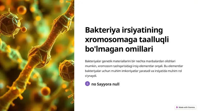 Bakteriya irsiyatining xromosomaga taalluqli bo'lmagan omillari