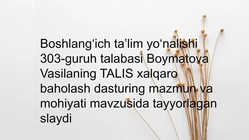TALIS xalqarobaholash dasturi