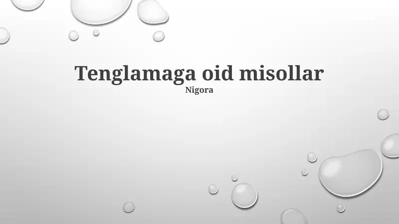 Tenglamaga oid misollar