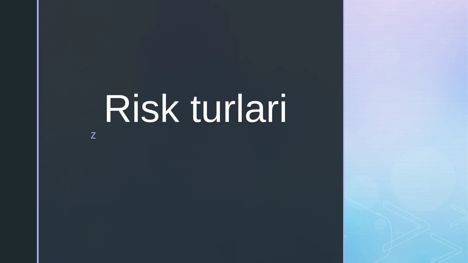 Risk turlari