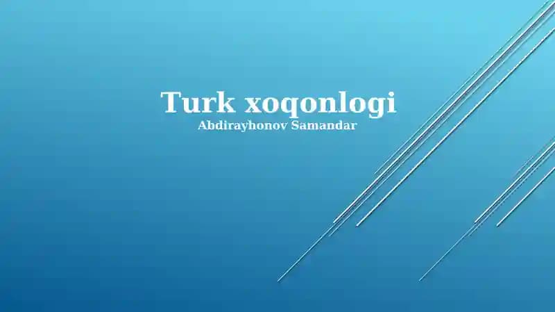 Turk xoqonlogi