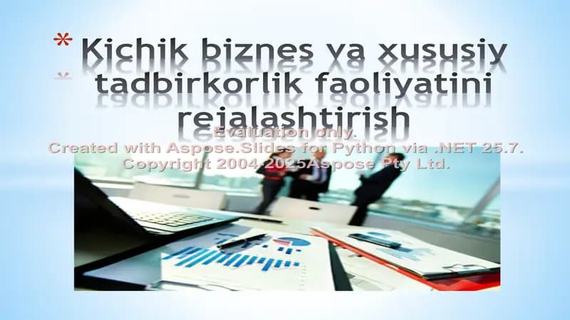 Kichik biznes va xususiy tadbirkorlik faoliyatini rejalashtirish. Biznes reja