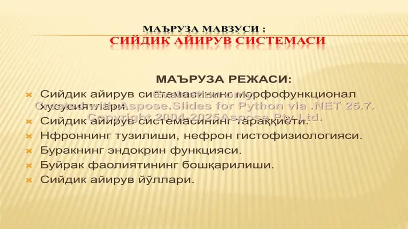 Сийдик айирув системаси