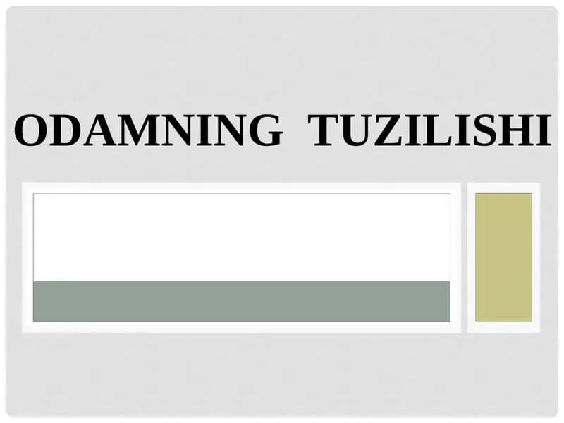 Odamning Tuzilishi