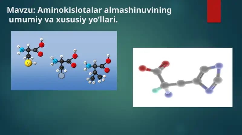 Aminokislotalar almashinuvining umumiy va xususiy yo’llari.