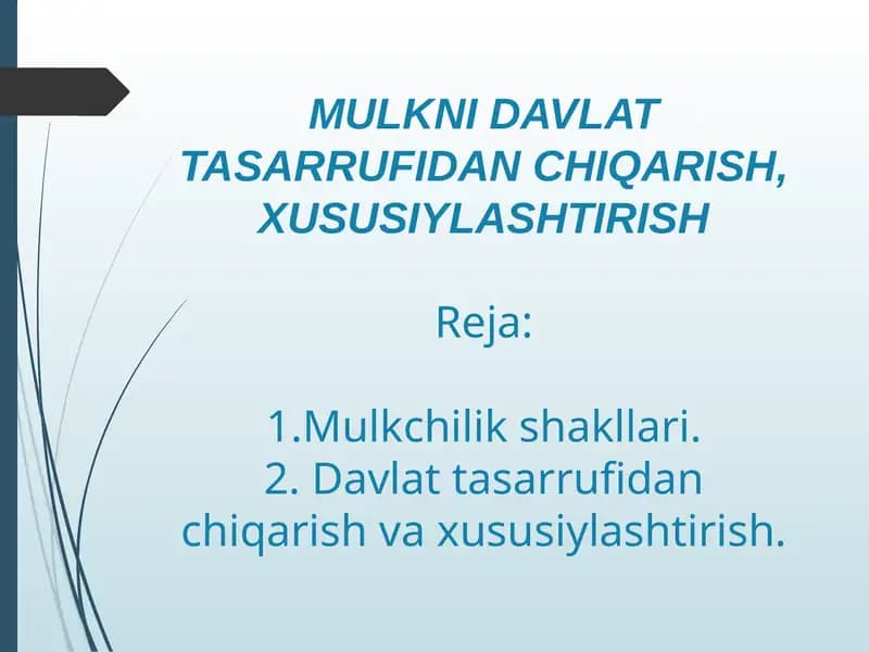 MULKNI DAVLAT TASARRUFIDAN CHIQARISH, XUSUSIYLASHTIRISH