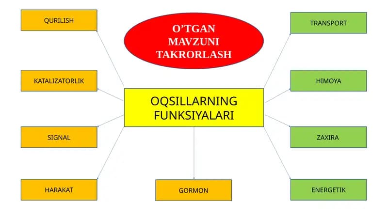 Nuklein kislotalar DNK va RNK (ATF)